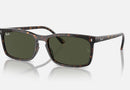 RB4435 / Polished Havana/Green(902/31) / 56-18-145