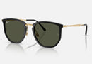 RB4451 / Polished Black/Green(630631) / 50-20-145