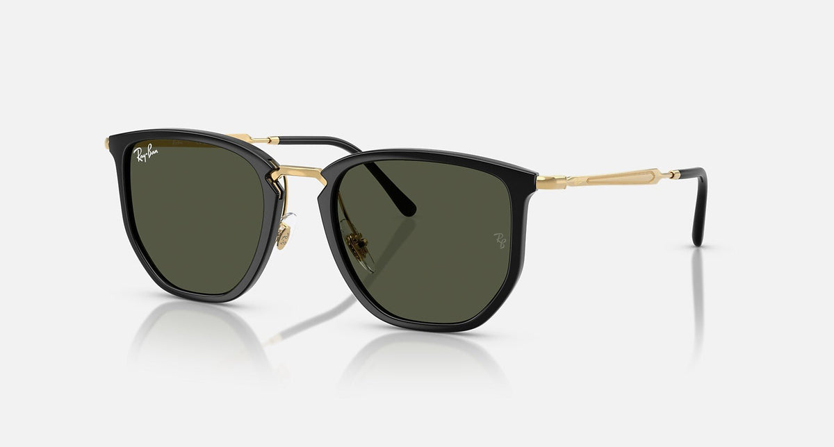RB4451 / Polished Black/Green(630631) / 50-20-145