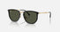 RB4451 / Polished Black/Green(630631) / 50-20-145