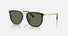 RB4451 / Polished Black/Polarized Green(630658) / 53-20-145