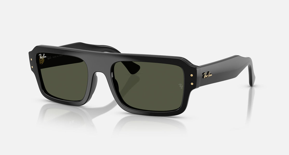 RB4454 / Polished Black/Green(667731) / 53-20-145