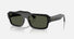 RB4454 / Polished Black/Green(667731) / 53-20-145