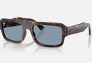 RB4454 / Polished Havana/Blue(902/56) / 53-20-145