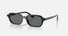 RB4455 / Polished Black/Dark Grey Polarized(667781) / 52-19-145