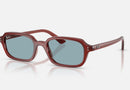 RB4455 / Polished Rosty Brown/Blue(680980) / 49-19-145