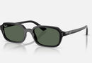 RB4455 / Polished Black/Dark Green(667771) / 49-19-145