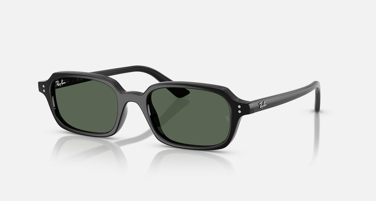 RB4455 / Polished Black/Dark Green(667771) / 49-19-145
