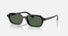 RB4455 / Polished Black/Dark Green(667771) / 49-19-145
