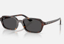 RB4455 / Polished Havana/Dark Grey(135987) / 52-19-145