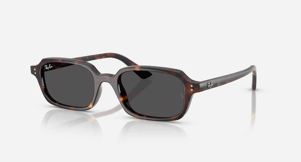 RB4455 / Polished Havana/Dark Grey(135987) / 52-19-145