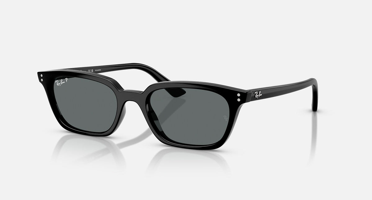 RB4456 / Polished Black/Dark Grey Polarized(667781) / 50-19-145