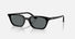 RB4456 / Polished Black/Dark Grey Polarized(667781) / 50-19-145