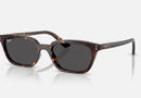 RB4456 / Polished Havana/Dark Grey(135987) / 50-19-145