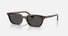 RB4456 / Polished Havana/Dark Grey(135987) / 50-19-145