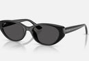 RB4457D / Polished Black/Dark Grey(667787) / 55-19-145