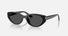 RB4457D / Polished Black/Dark Grey(667787) / 55-19-145