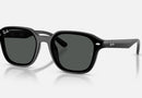 RB4458D / Polished Black/Dark Grey(601/87) / 65-18-145