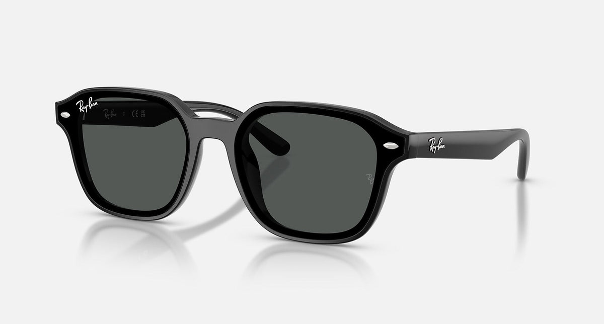 RB4458D / Polished Black/Dark Grey(601/87) / 65-18-145