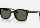 RB4461D / Polished Black/Dark Green(601/71) / 64-17-145