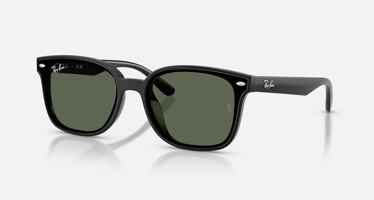 RB4461D / Polished Black/Dark Green(601/71) / 64-17-145