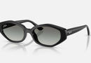 RB4473D / Polished Black/Gradient Grey(667711) / 56-18-145
