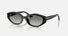 RB4473D / Polished Black/Gradient Grey(667711) / 56-18-145