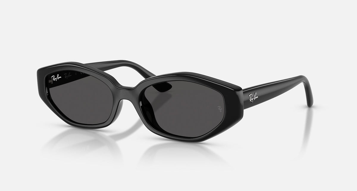 RB4473D / Polished Black/Dark Grey(667787) / 56-18-145