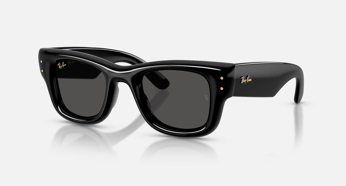 RB4940 / Polished Black/Ultra Black(601/87) / 47-23-145