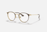 RB6378 Ray-Ban® / Brown on Arista (2905) / 49-21-145