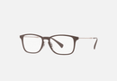 RB8953 Ray-Ban® / Polished Brown(8028) / 56-17-140