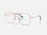 RX3758V / Polished Rose Gold/Clear(3094) / 56-16-145