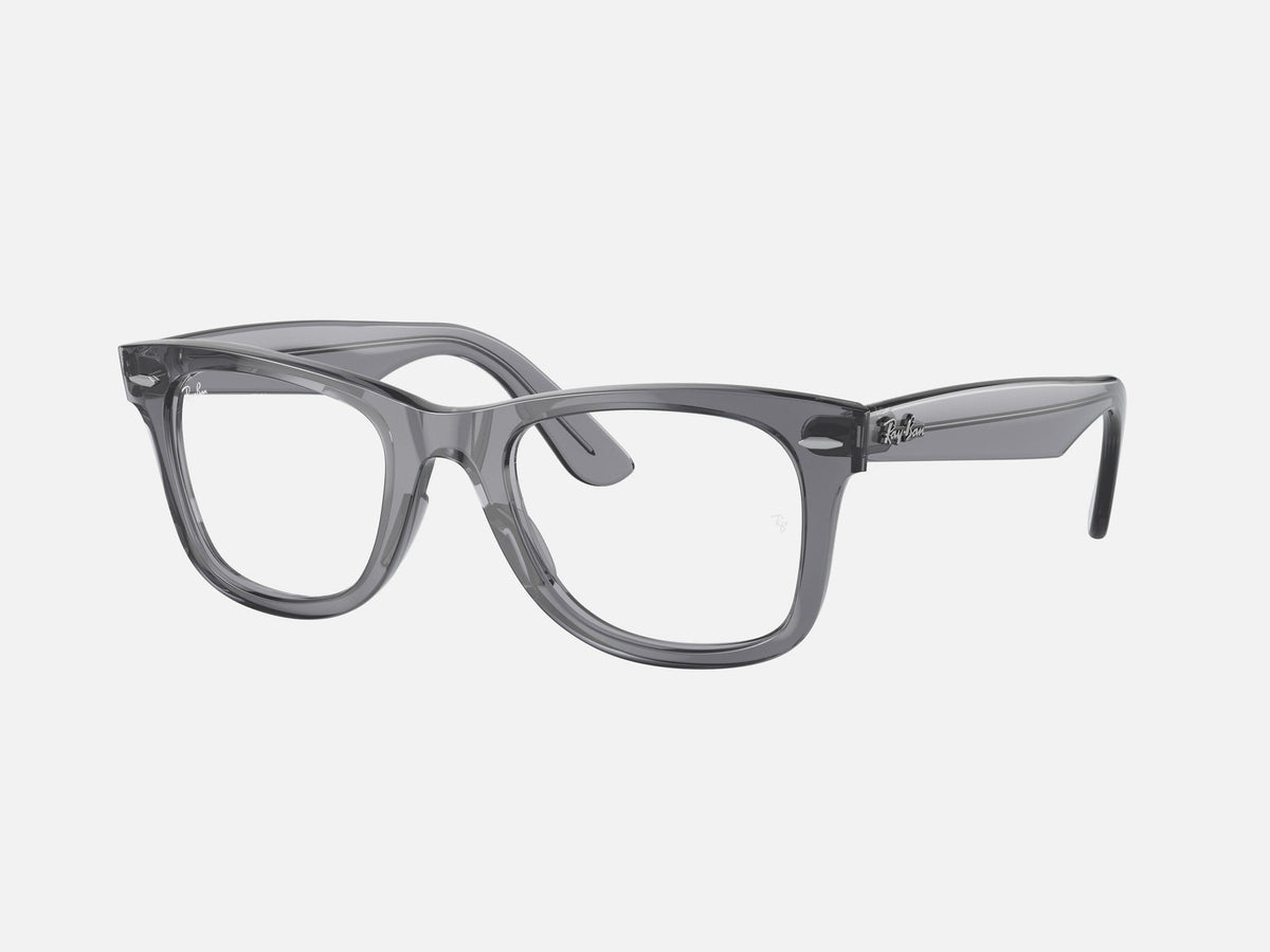 RX4340V / Polished Transparent Grey/Clear(8225) / 50-22-150