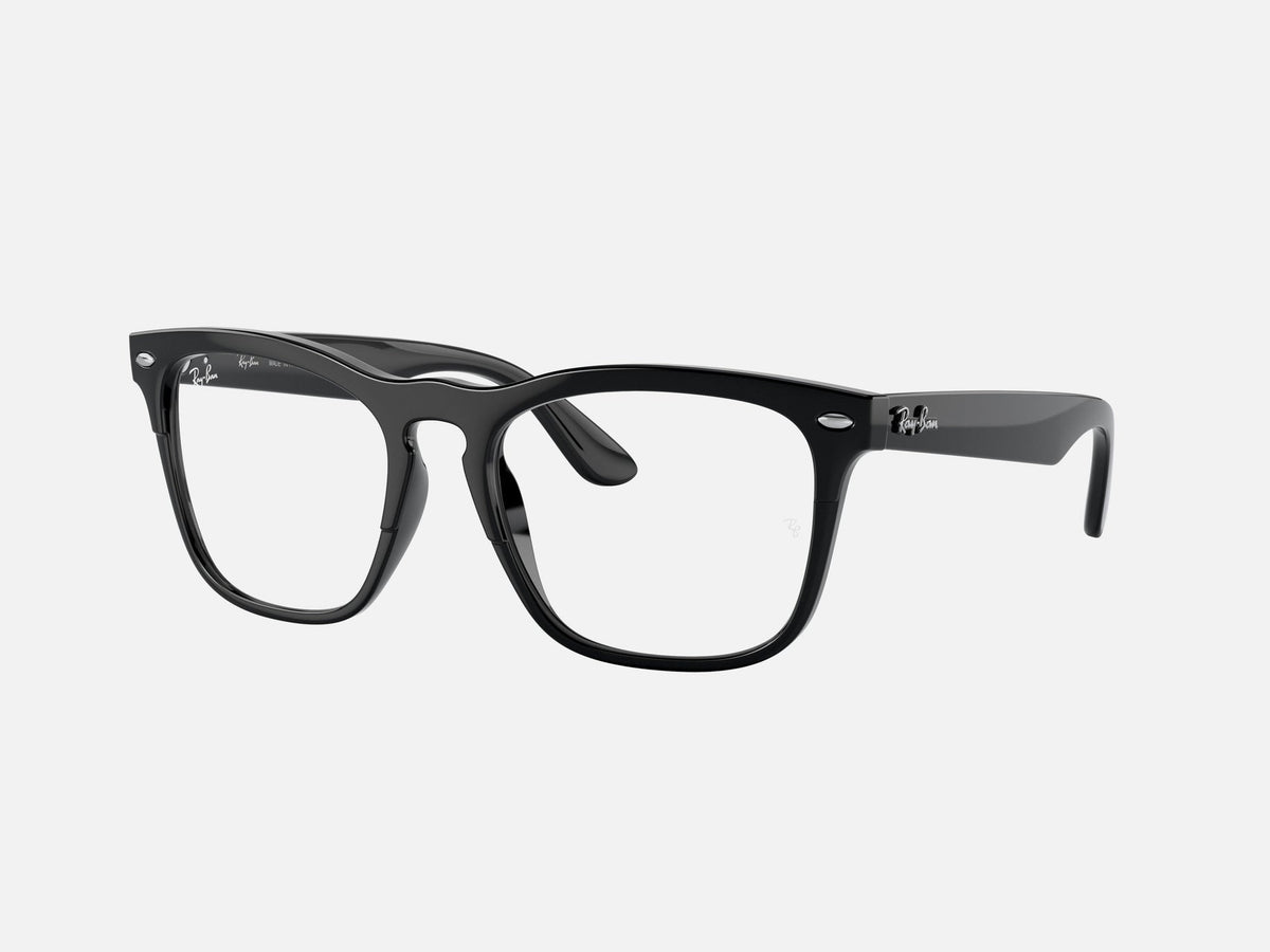 RX4487V / Polished Black/Clear(8192) / 54-19-145