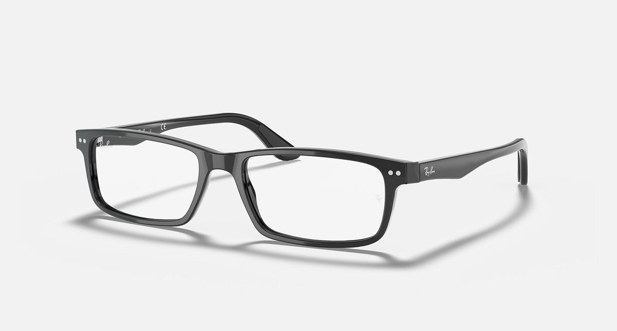 RX5277 / Polished Black/Clear(2000) / 54-17-140