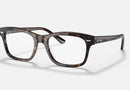 RX5383 / Polished Havana/Clear(2012) / 52-19-145