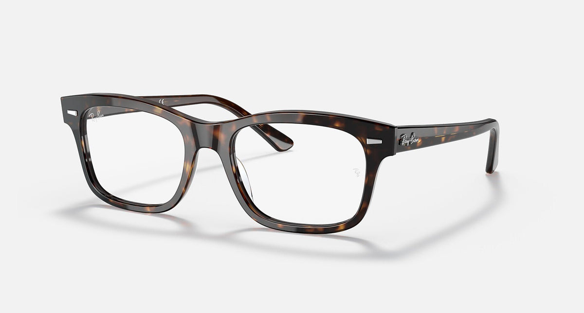 RX5383 / Polished Havana/Clear(2012) / 52-19-145