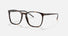 RX5387 / Polished Havana/Clear(2012) / 54-18-150