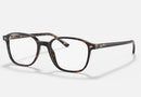 RX5393 / Polished Havana/Clear(2012) / 49-17-145