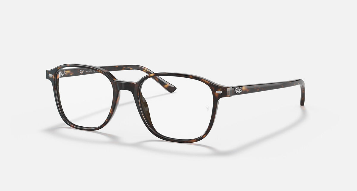 RX5393 / Polished Havana/Clear(2012) / 49-17-145