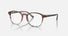 RX5417 / Polished Striped Brown & Red/Clear(8251) / 50-19-145