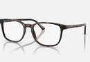 RX5418 / Polished Havana/Clear(2012) / 54-19-145