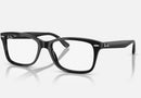RX5428 / Polished Black/Clear(2000) / 53-17-145