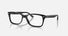 RX5428 / Polished Black/Clear(2000) / 53-17-145