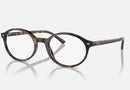 RX5429 / Polished Havana/Clear(2012) / 51-20-145