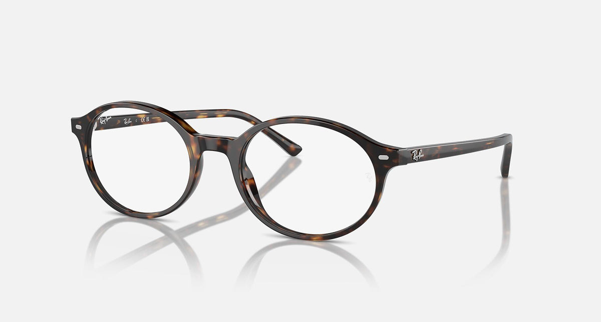RX5429 / Polished Havana/Clear(2012) / 51-20-145