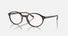 RX5429 / Polished Havana/Clear(2012) / 51-20-145