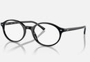 RX5429 / Polished Black/Clear(2000) / 51-20-145