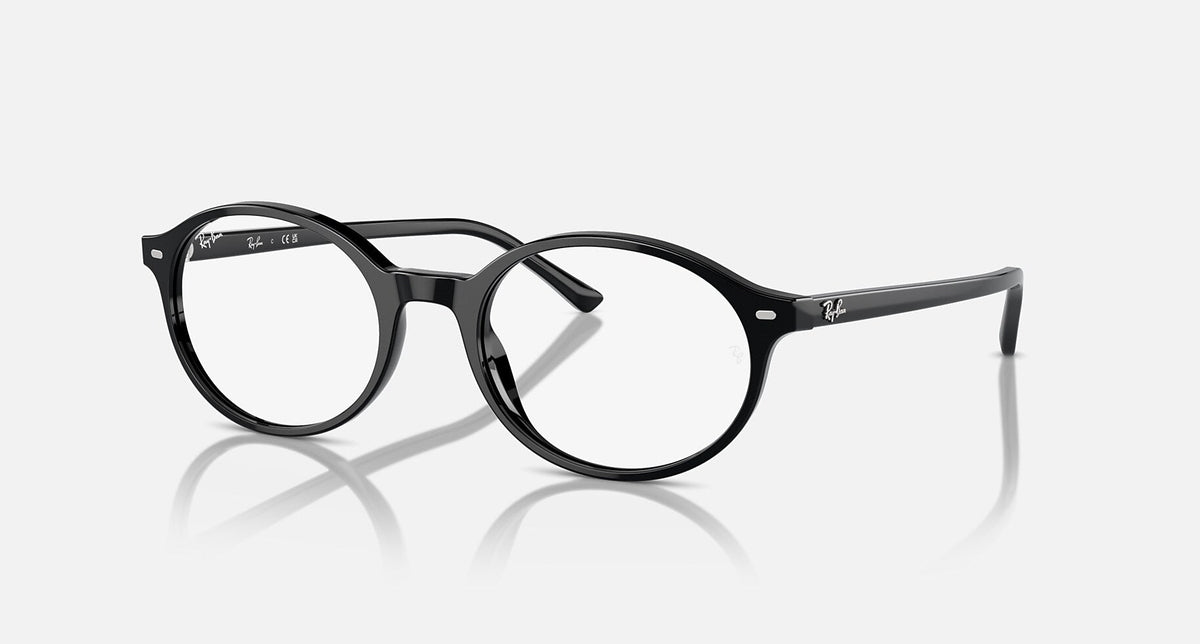 RX5429 / Polished Black/Clear(2000) / 51-20-145