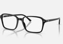 RX5431 / Polished Black/Clear(2000) / 54-18-145
